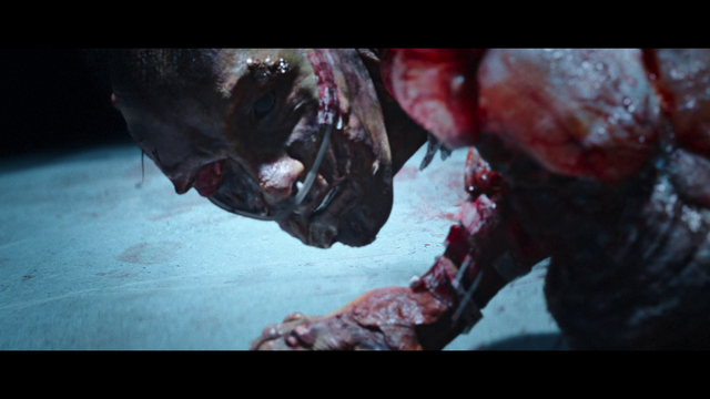 vlcsnap-2023-12-01-03h56m12s134