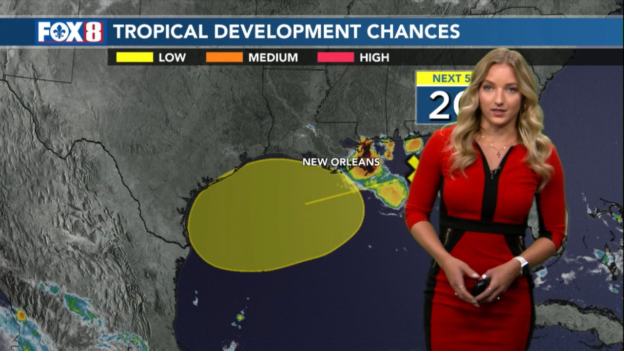 06.26 - 12.00.00 - Fox 8 Sunday Morning News  ᴺᵉʷ. Sunday morning new..._002.ts_snapshot_16.53.306