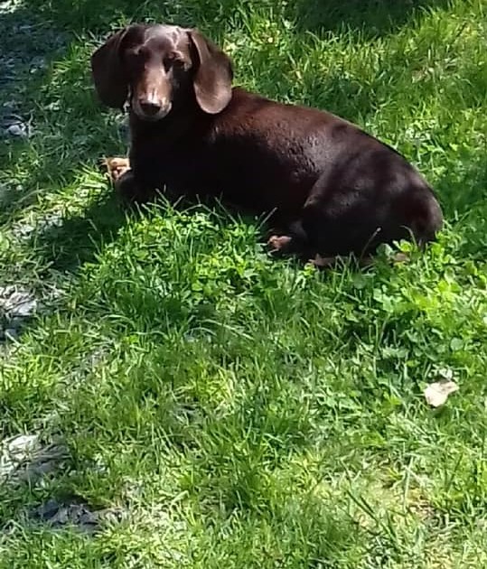 [Image: 223447243-10222437654202484-327934081498...-Copie.jpg]