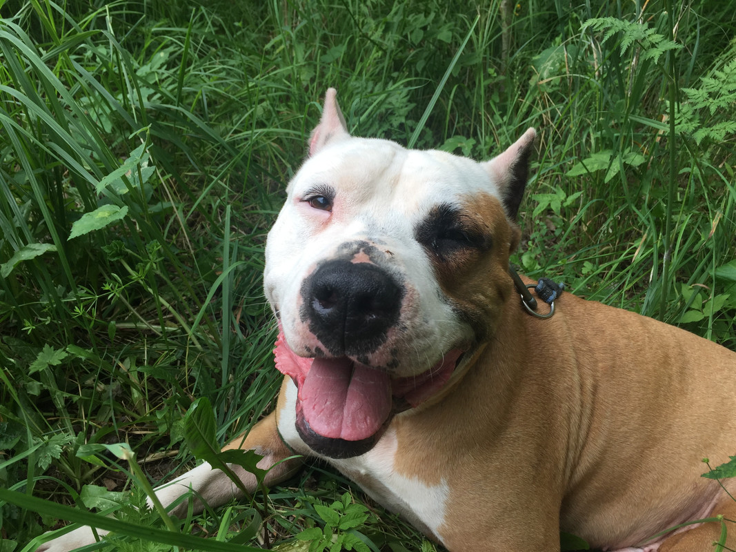 3E62C963-99D8-4C1C-89C9-A6A5571A91F0