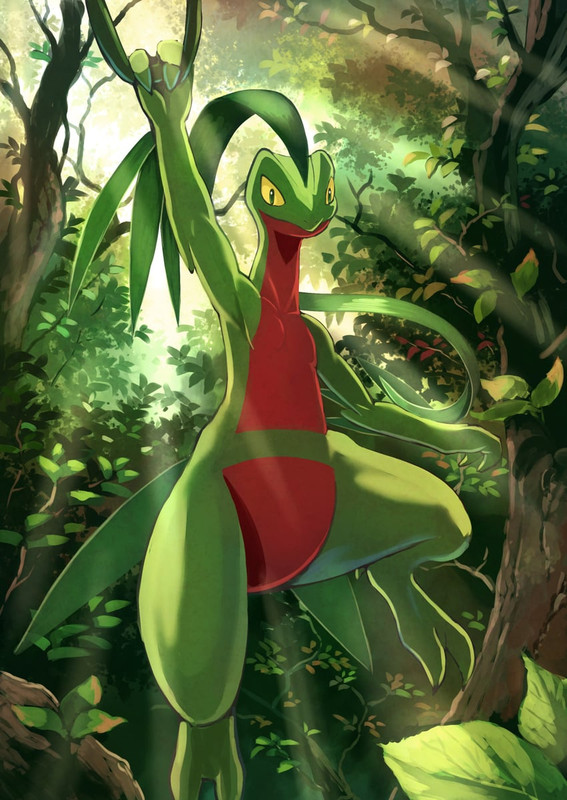 grovyle-pokemon-drawn-by-karamimame-samp