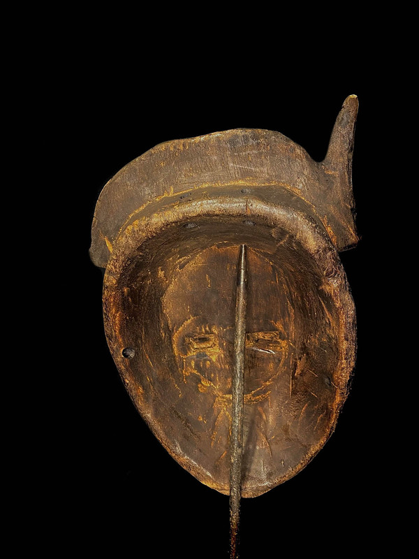 large image 11