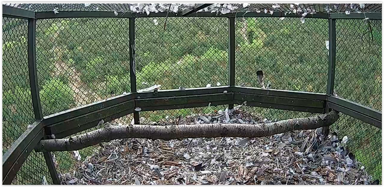 Screen Shot 05-14-22 at 10.04 AM 001