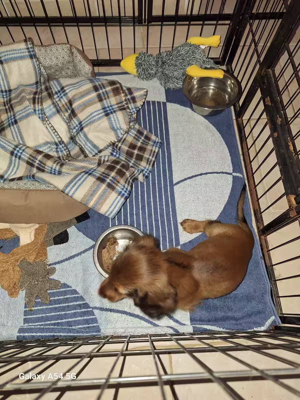 [Image: 20240904-210905.avif]