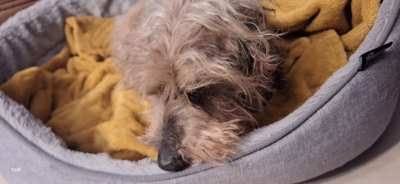 [Image: 20250101-171523.jpg]