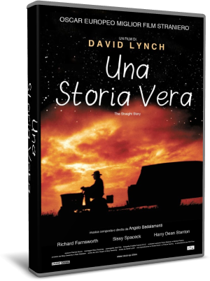 Una storia vera (1999) .avi BRRip AC3 Ita