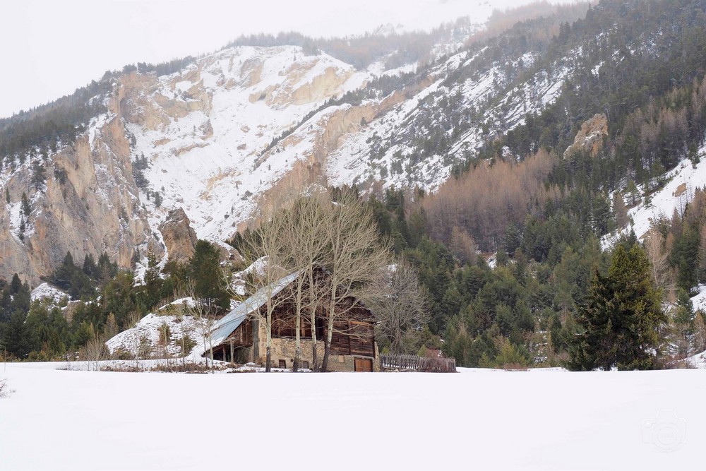 615511163-25461739986782248-8208706180079513706-n