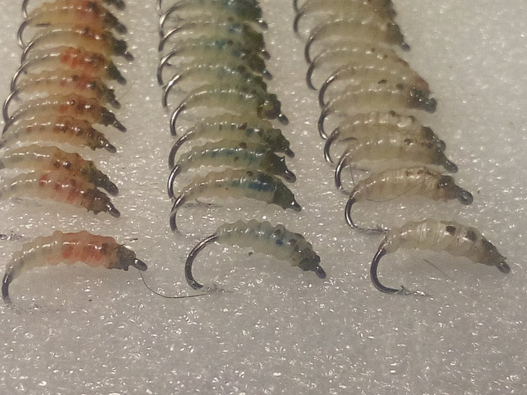 IMG_20211119_155800 (1)