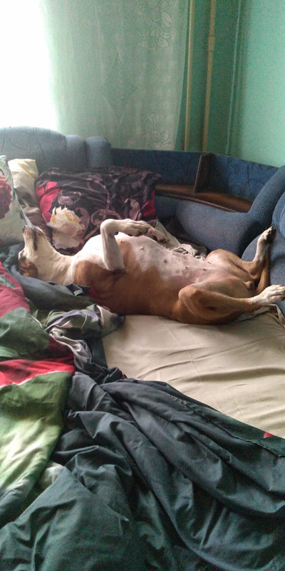 F6557254-CCAD-4800-9C82-55E65CE046BB