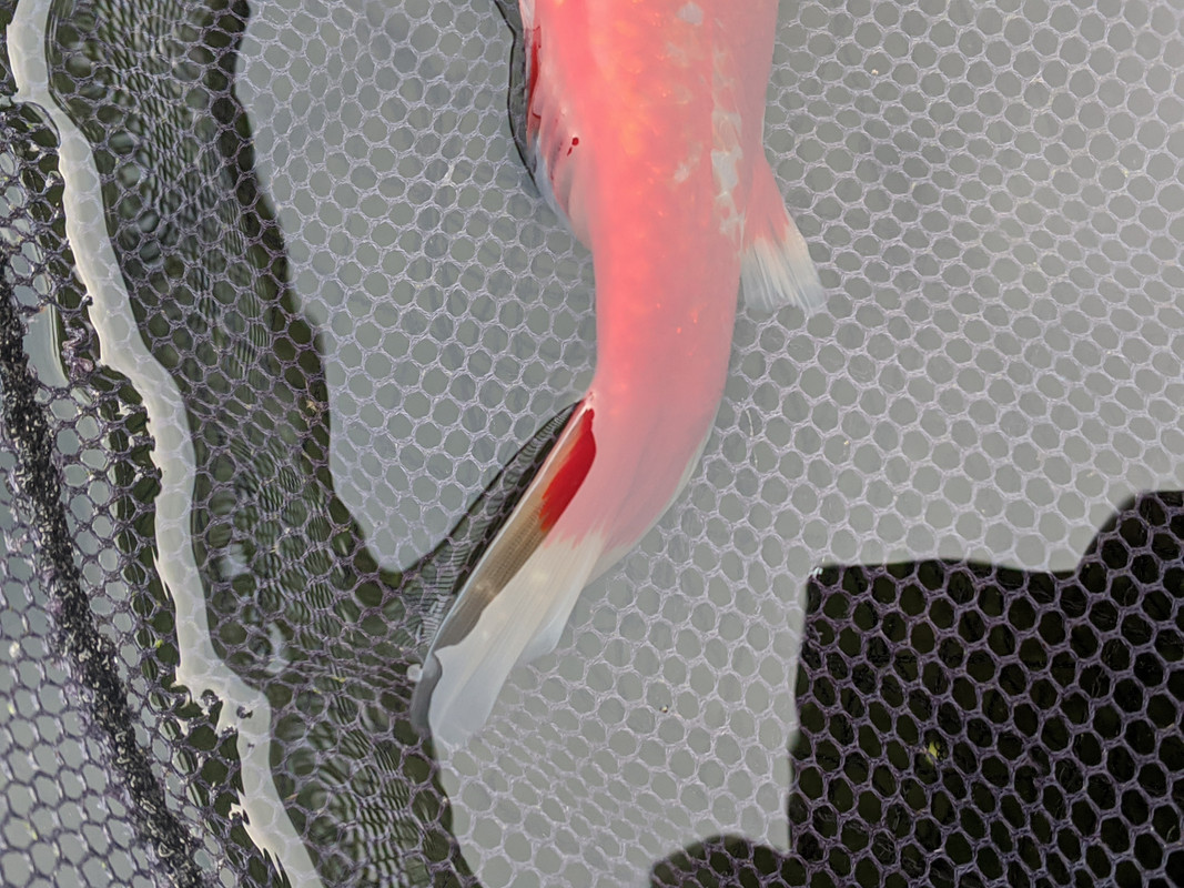 PXL_20201005_150633770