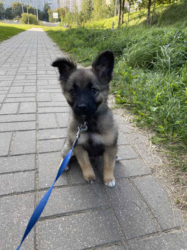 E424EE29-B37E-401A-9AF8-9E0FB001C6DE