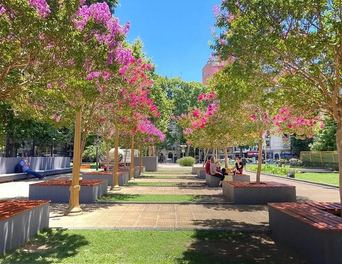 fotoplazaemiliomitre8