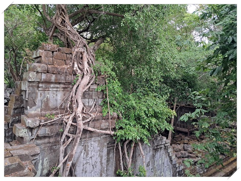 Angkor III. Beng Mealea y traslado a Phnom Penh. - De la bahía de Halong a los templos de Angkor (7)
