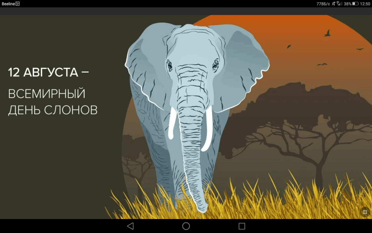 Screenshot_2023-08-12-12-50-01