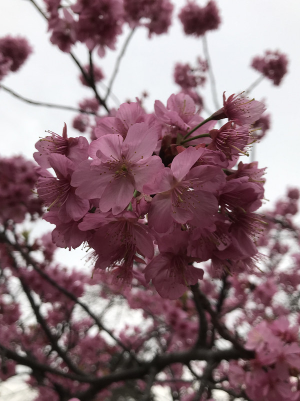 428E5178-0D51-4B13-9A27-A29CD557D499