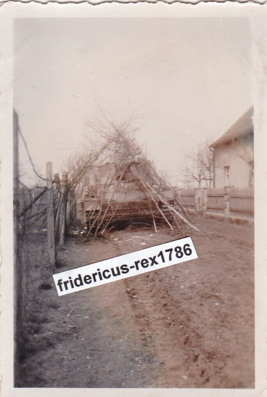 Foto schw. Panzerjäger -Abt.88 Selbstfahrlafette Nashorn Horniss