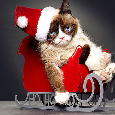 grumpy-xmas-gimp.jpg