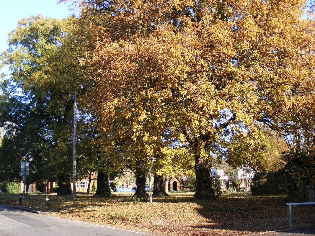 DSCF0687.jpg
