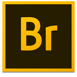 [MAC] Adobe Bridge 2020 v10.1.1 - Ita