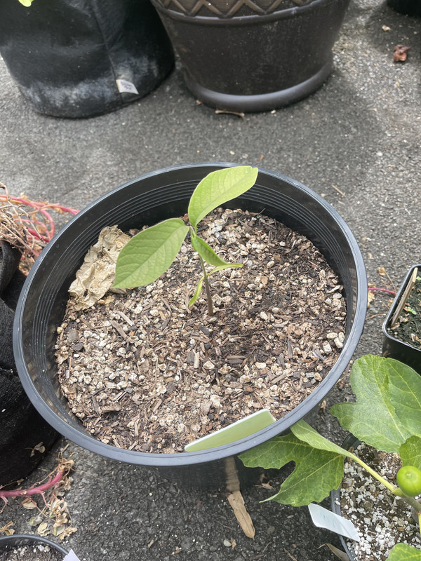 40618EE0-44D7-4892-B8FA-59BBB7208049