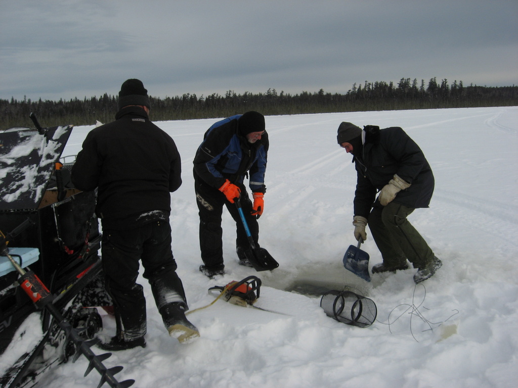 Minnow trapping #1