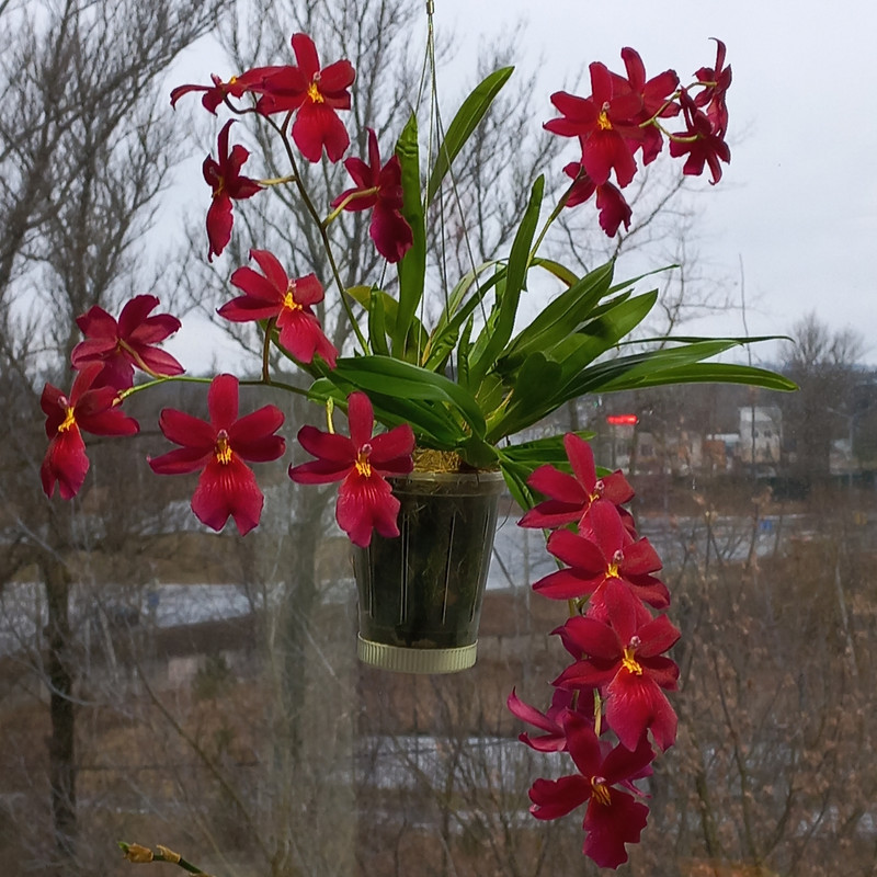 1v GS6dtay XUWc Bl Pakq6S9PRYCCr C99 cy7OF7tp M8tjp Ud P7Jb USqk2vt URPb QXz L6xb XJA2W2SSi1h3w OYw 