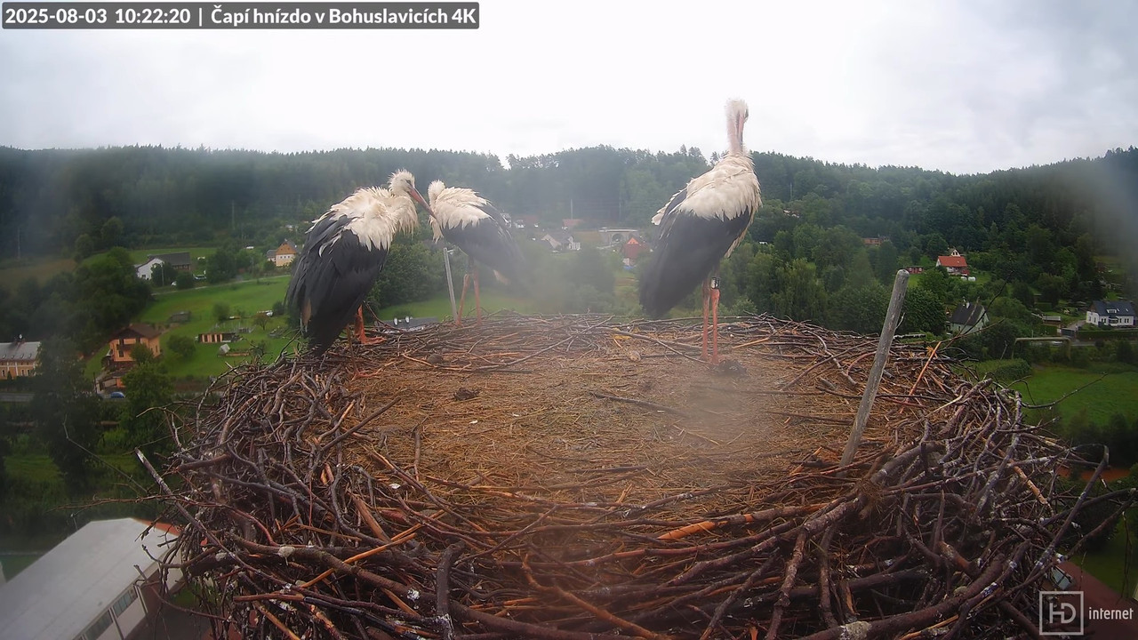 Živě z čapího komína firmy KARA v Bohuslavicích u Trutnova 15-4-3 screenshot