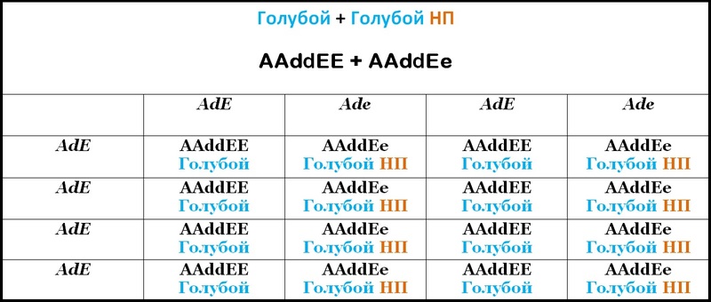 Таблица 38