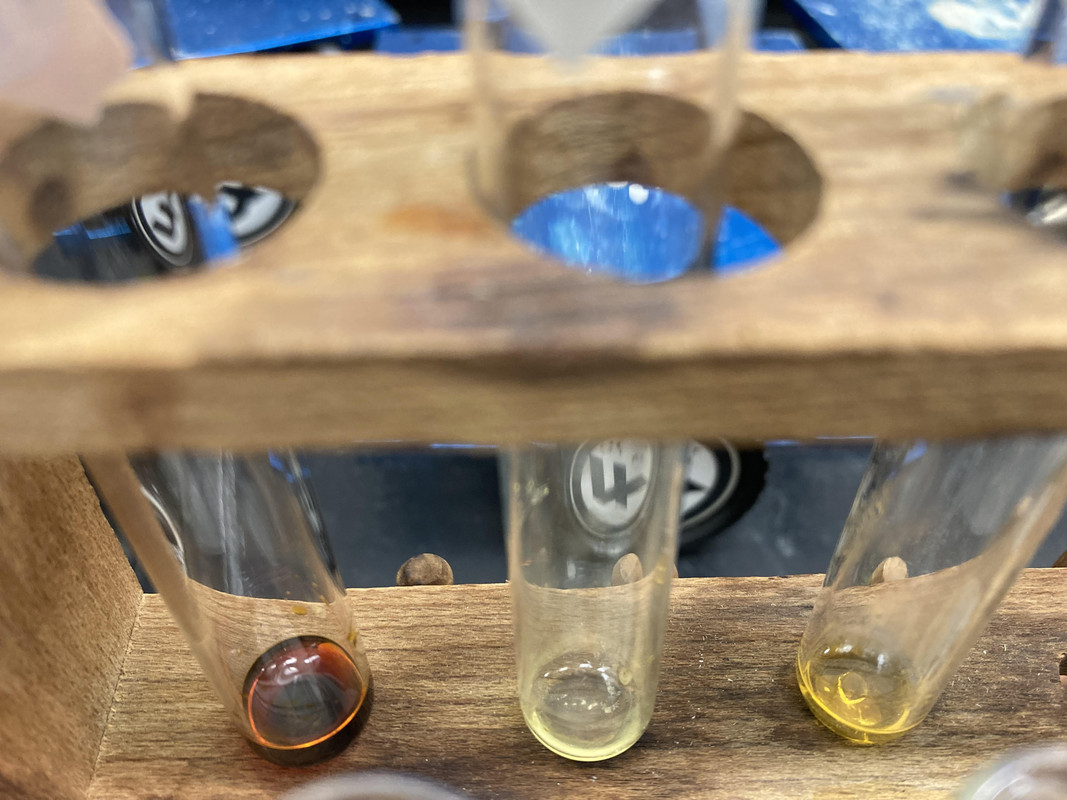 Organic Chemistry Lab Chemical Identification Exercise (Image 1)