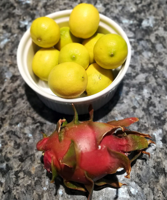 PitayaFruitSept17#2