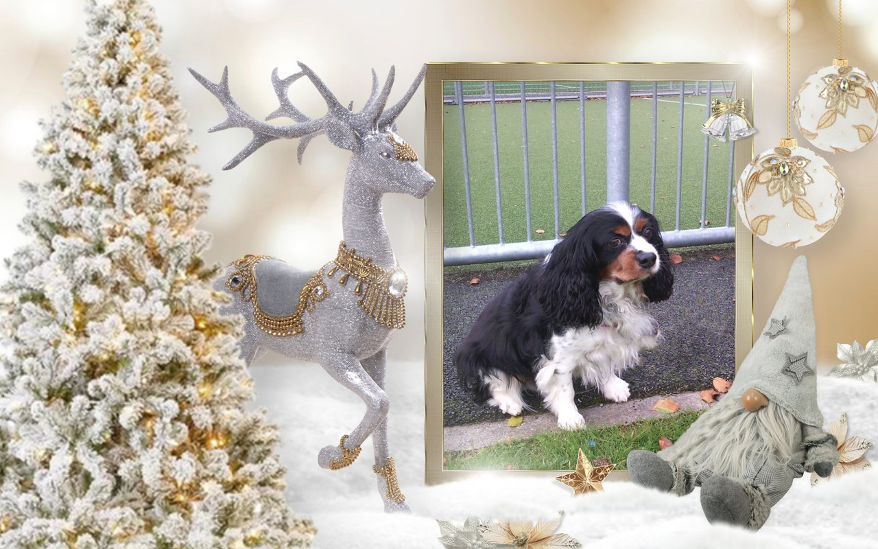 imikimi zo photo (15)