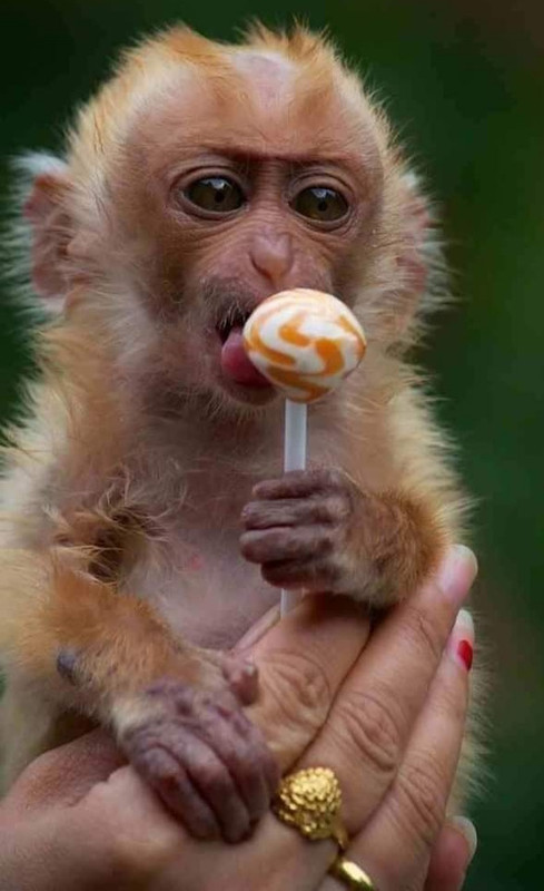 Screenshot-2020-11-25-10-29-09-809-com-a