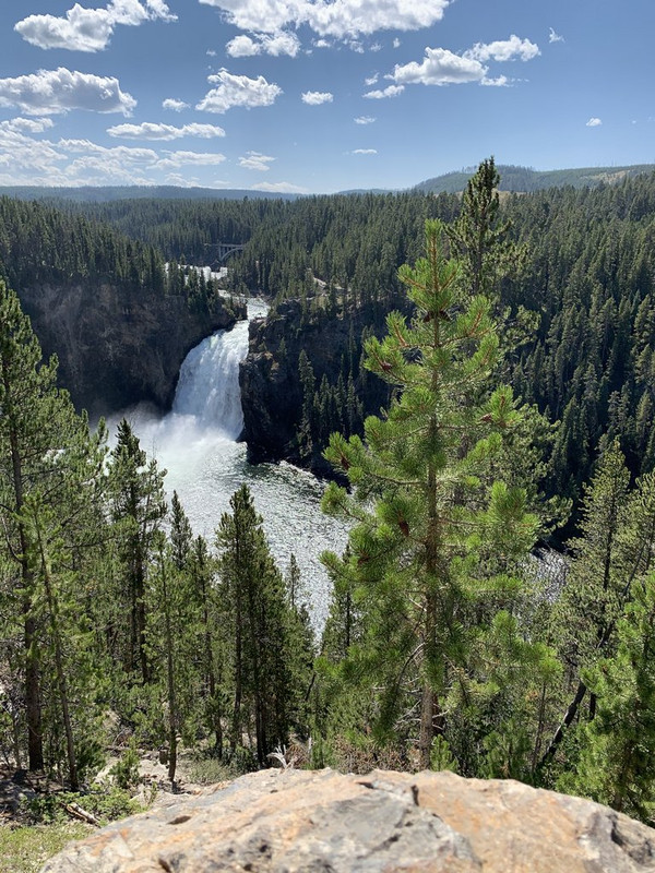 3B9A4E83-3B3F-4C97-BE56-C91CDA8BED4A