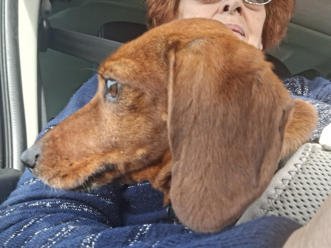 [Image: 20251018-142923.jpg]