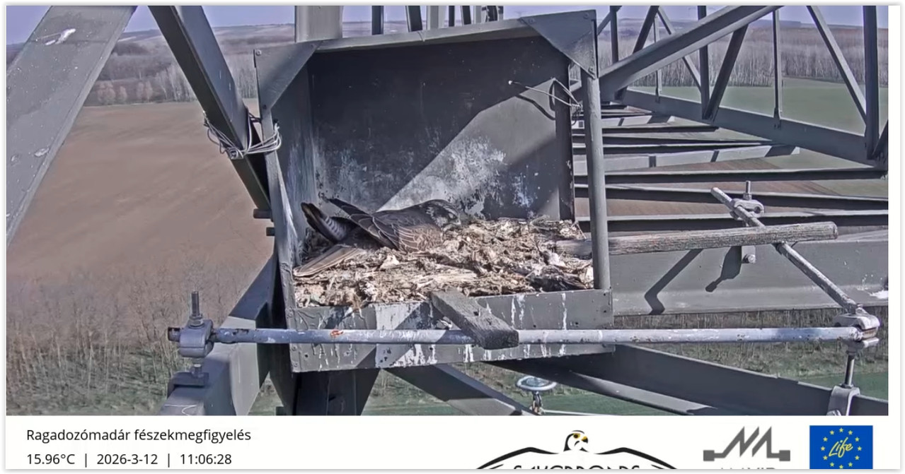 Screen Shot 03 12 26 at 11 06 AM