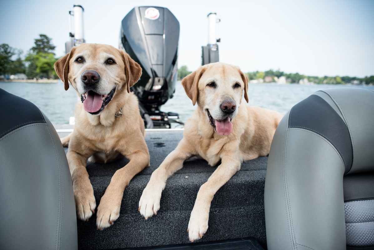 7C78D13E-96D7-4339-B4DD-0C7A8EA82CC2