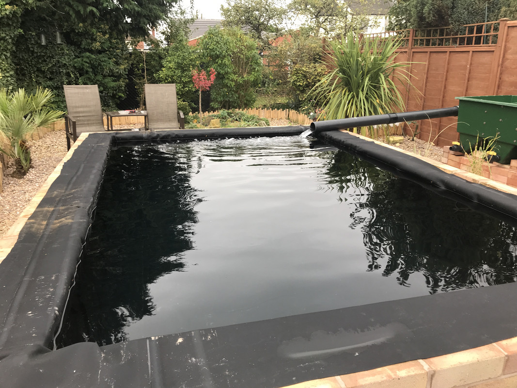 DC74184F-51E8-49AD-BC38-BC029A37AC14