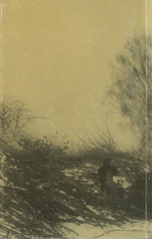 2-p0016
