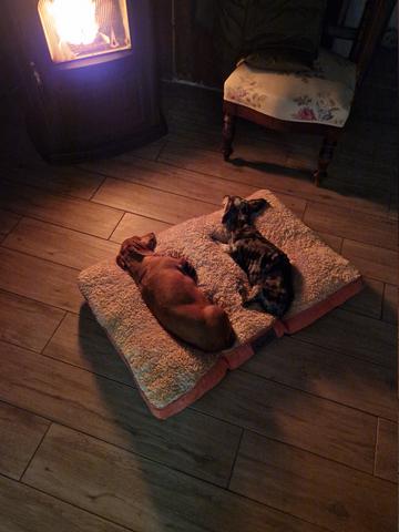 [Image: 20251122-185303.jpg]