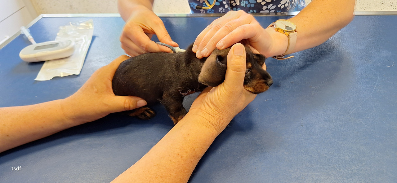 [Image: 20250606-180844.jpg]