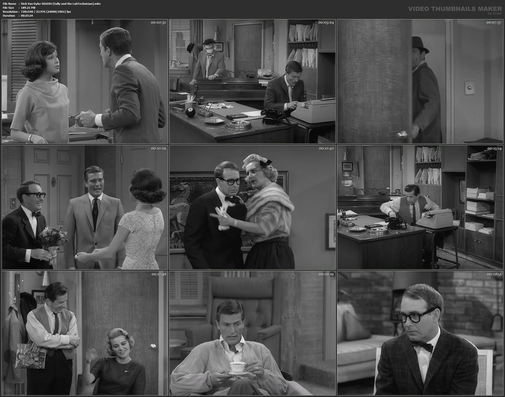 Dick Van Dyke S01E04 (Sally and the LabTechnician).mkv