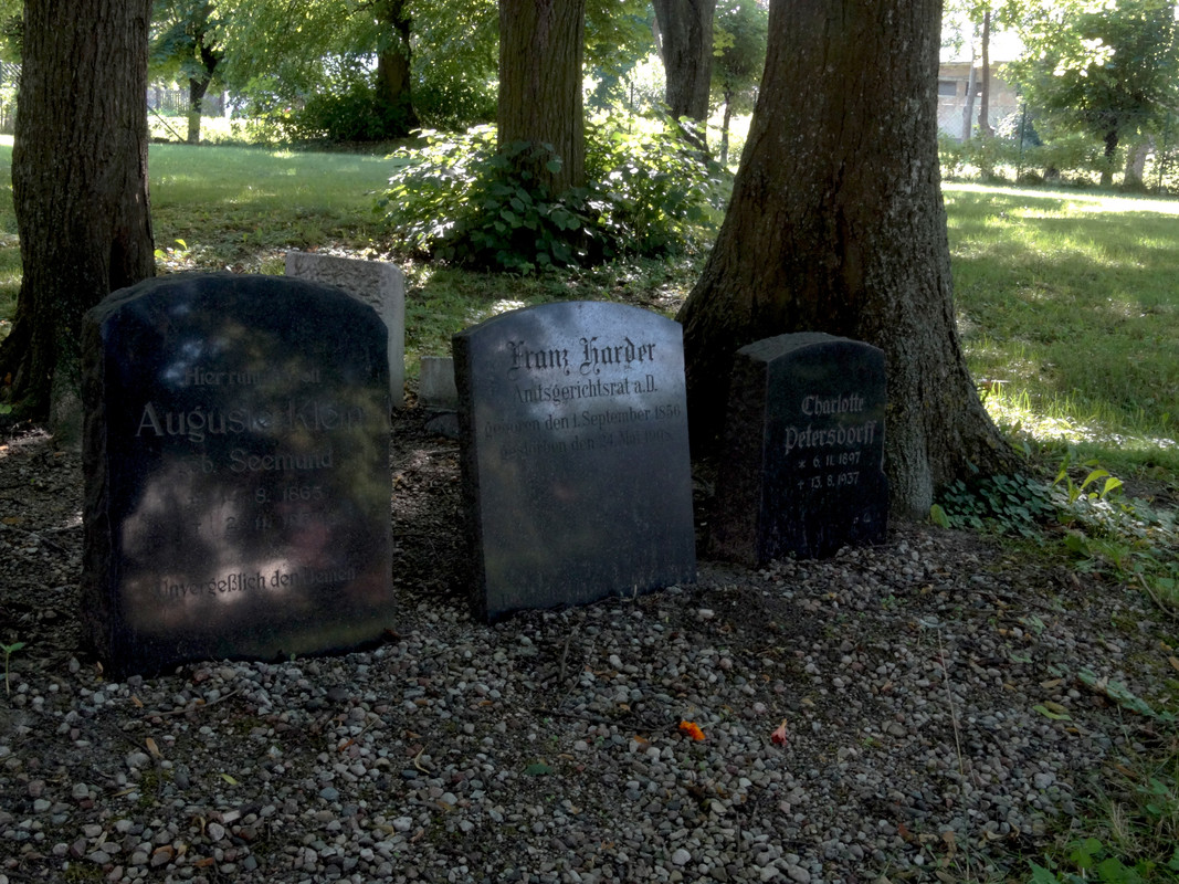 16.50 - DSC07558 (Czesio1)