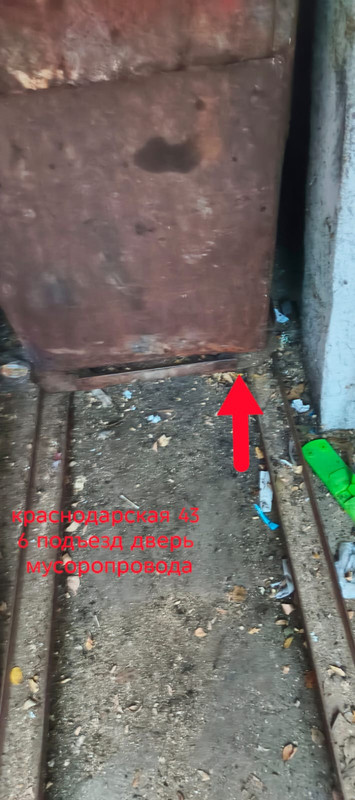 IMG 20251204 WA0004