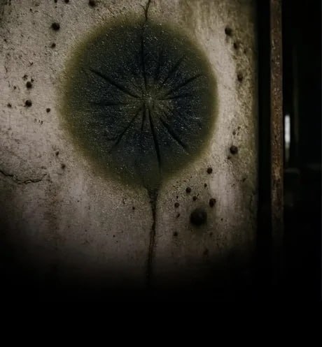 [Изображение: photo-2025-11-28-14-58-07.jpg]