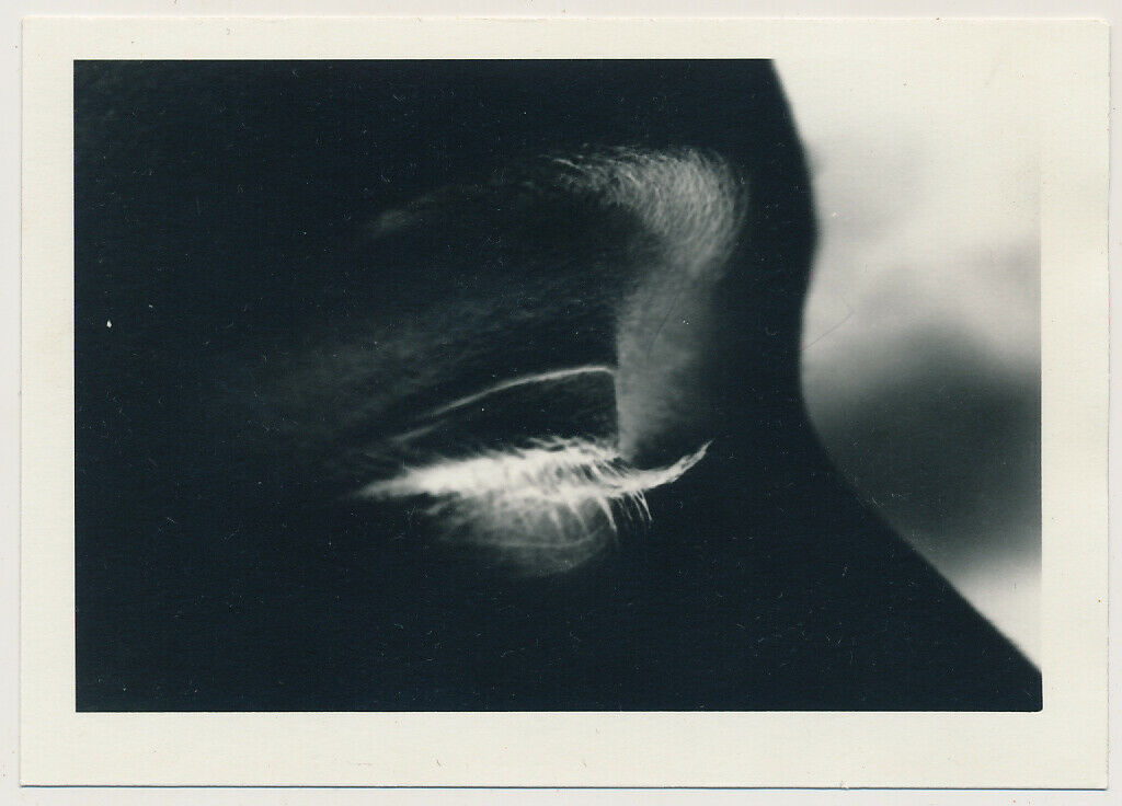 shy-l1600