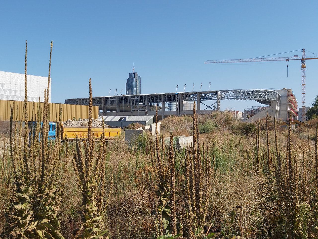 adzijina-20260810-07.jpg