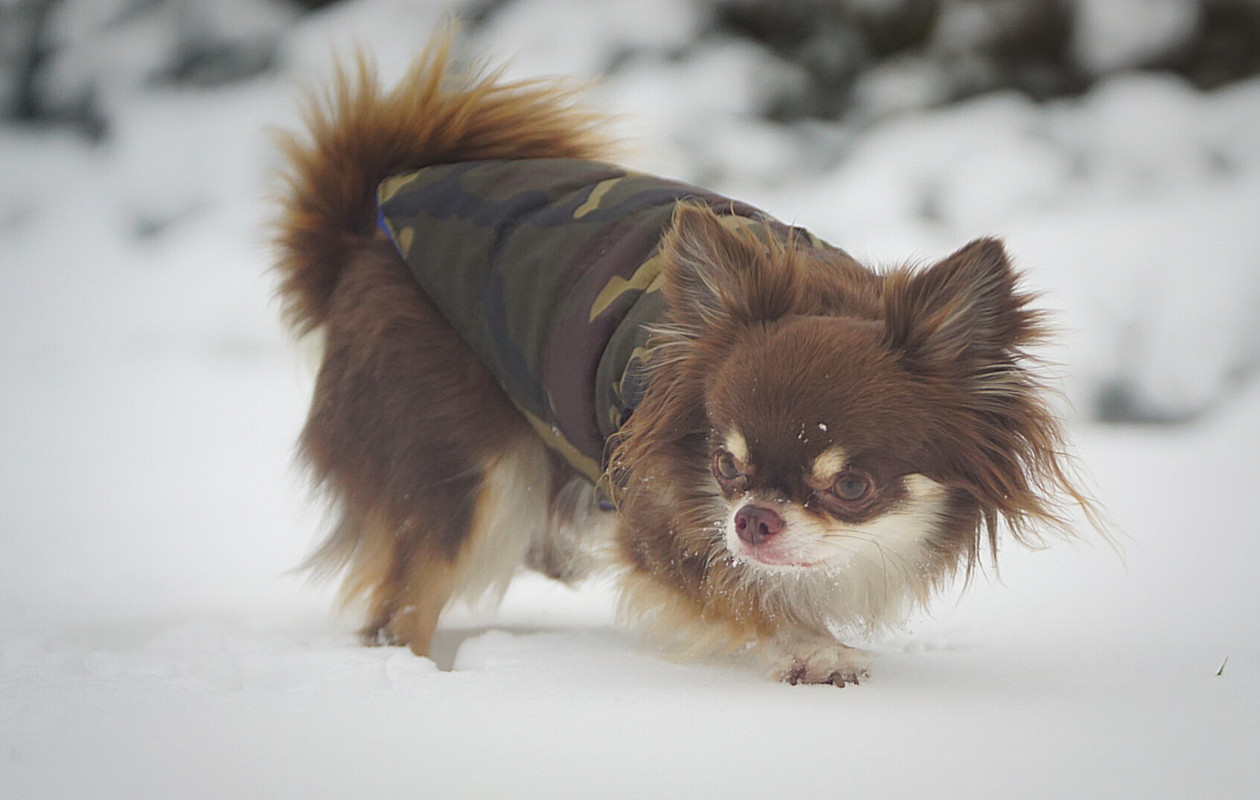 Lumii_20210208_094747146