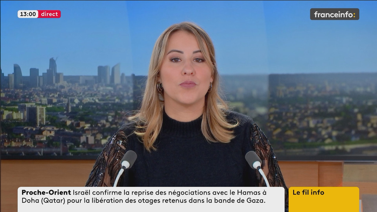 Le fil info (Franceinfo)_2025_01_05_10_20_65.ts_snapshot_01.41.12.209