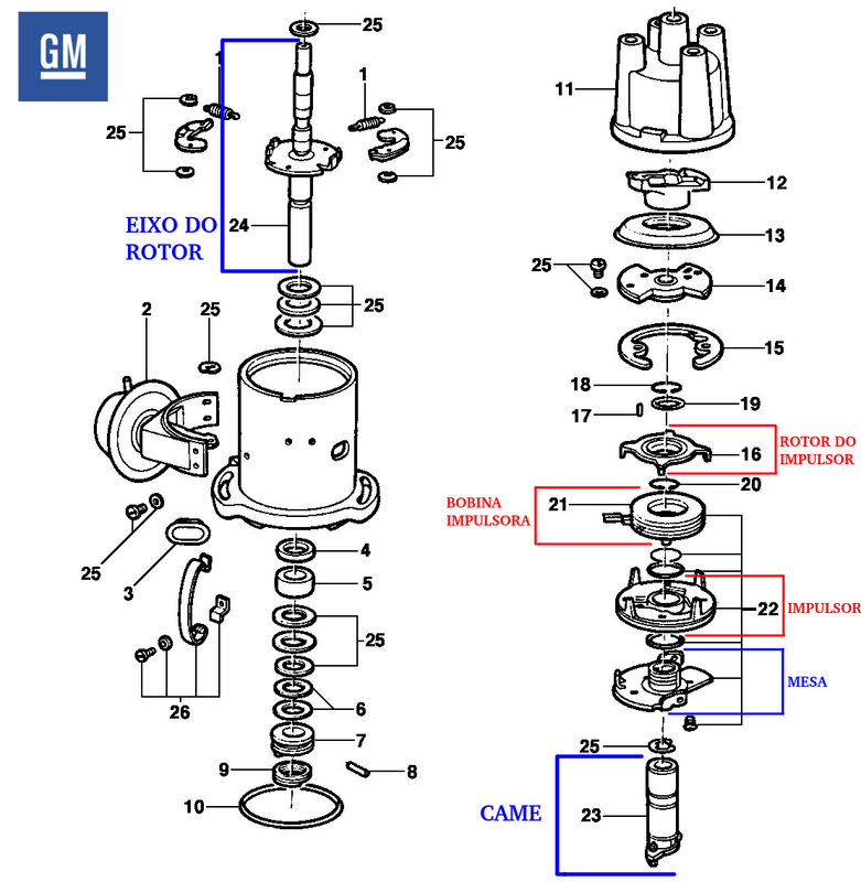 01DISTRIBUIDORMONZA