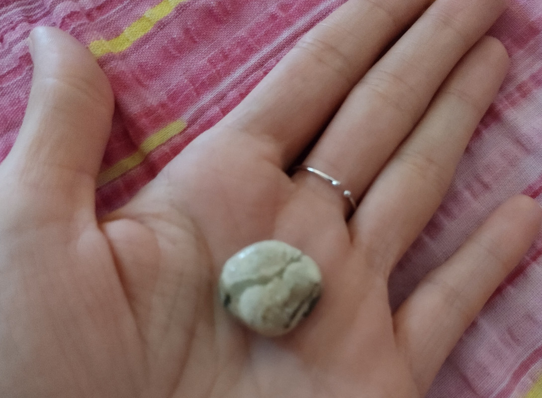 IMG_20210426_135132443_MP~2